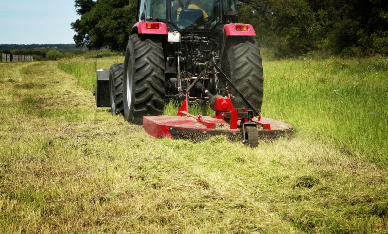Get Brush Hogging Service