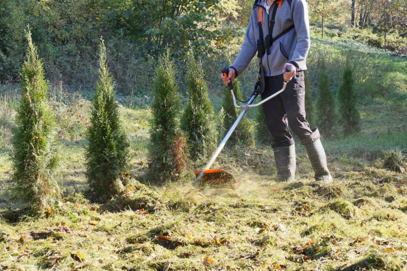 Clearing Brush Effectively