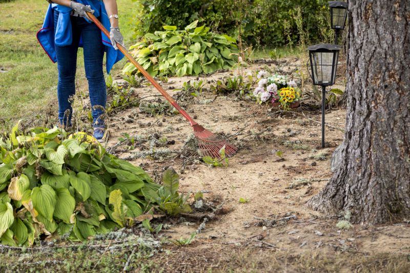 Customized Land Clearing