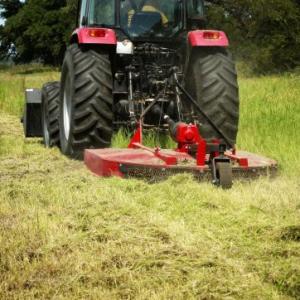 Temecula Brush Cutting